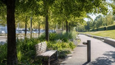 Eine Holzbank unter einem großen Baum neben einem Trinkbrunnen auf einem Weg in einem Park