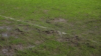 Grüner Rasen mit Schlamm und Reifenspuren sowie einer weißen Linie auf einem Fußballfeld.