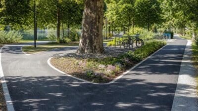 Geschwungener Radweg um eine Platane mit Fahrradständern in grüner Parkanlage
