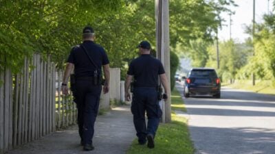Rätsel um Sichtung freilaufender Löwin in den USA