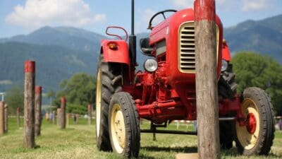 Roter Traktor steht auf einer Wiese zwischen Holzpfosten vor Bergkulisse.
