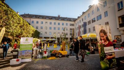 Streuobstfest zeigt alte Apfel- und Birnensorten in Villach