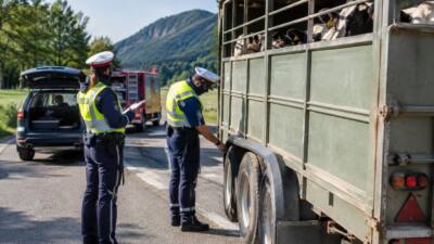52 schwere Mängel bei Fahrzeugkontrolle im Bezirk Lilienfeld