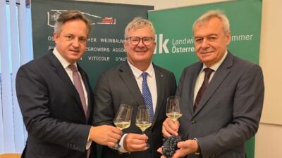 Weinlese im Seewinkel geht bereits zu Ende