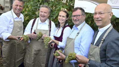 Fünf lächelnde Personen halten grüne Weintrauben und Rebscheren vor Weinreben