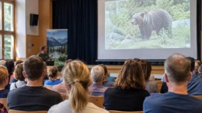 Bärenpräsenz: Infoabend in Pfunds am 30. September