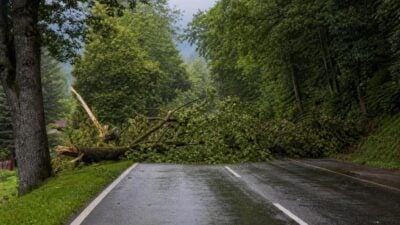 Baum auf Fahrbahn in Glantschach-Pflausach