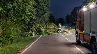 Baum über Straße auf L69 bei Gmünd