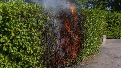 Brennende Hecke in Brixen im Thale gelöscht