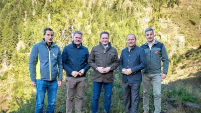 In Osttirol kamen rund 6,5 Millionen Forstpflanzen in den Boden