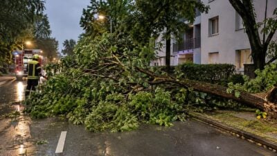 Feuerwehr entfernt Baum von Eichbergstraße in Oed in Oed