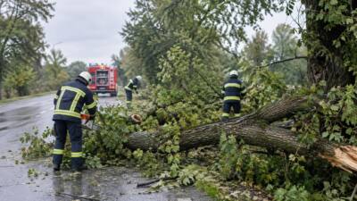 Feuerwehr entfernt Schneelast von Bäumen an der L8142 Richtung Drösiedl