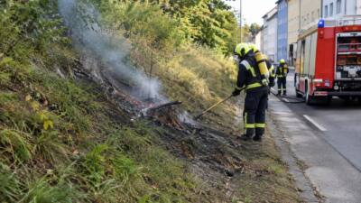 Feuerwehr Laab löscht Kleinbrand an einer Böschung im Bezirk Mödling
