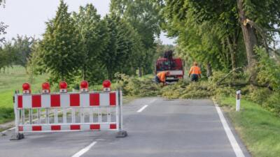 Feuerwehr räumt Baumteile von der Wiener Straße in Kirchstetten