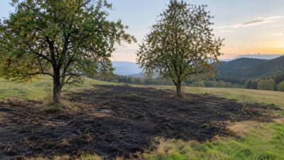 Feuerwehr verhindert Ausbreitung eines Wiesenbrands in Halltal