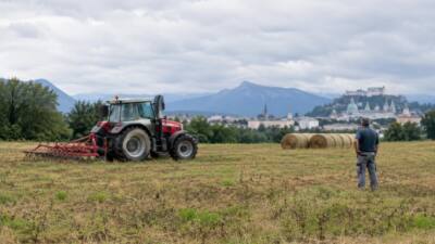 Flachgau: Dürre zwingt Bauern zum Futterzukauf