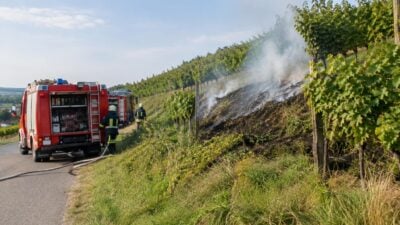 Flurbrand in Guntramsdorf rasch gelöscht