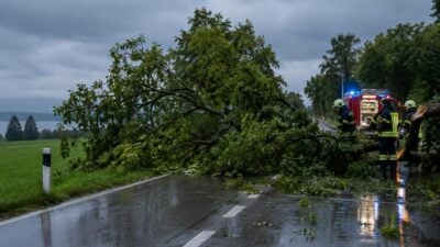 Gewitter in Vorarlberg: Rund 15 Einsätze wegen Bäumen