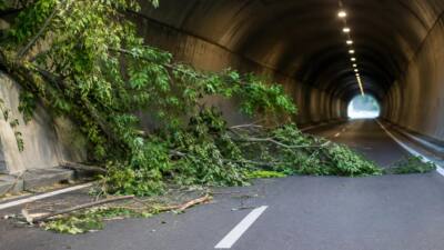 Graz: Gefährliche Baumteile in der Übelbacherstraße beseitigt