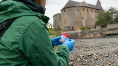 Greenpeace fordert wegen Asbest Veranstaltungsstopp auf Burg Schlaining