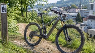 Hund läuft Mountainbikefahrerin in Dimbach ins Rad