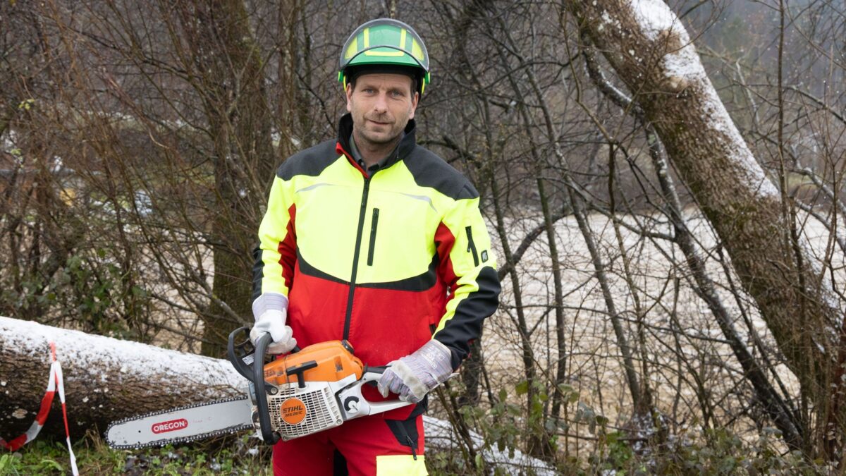 Kärnten: Forstbranche hat nur vier Lehrlinge