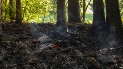 Lagerfeuer löst Kleinbrand auf Insel in Moosburg aus