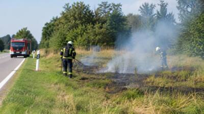 Langfeld: Vegetationsbrand neben der B41 rasch gelöscht
