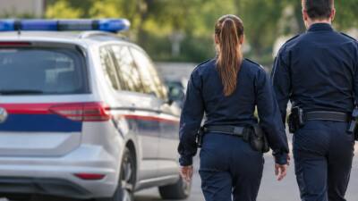 Polizei nimmt Mann nach Diebstahlversuch in Wien fest