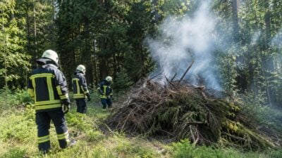 Drei Feuerwehrleute in Schutzkleidung stehen vor einem rauchenden Reisighaufen im Wald.