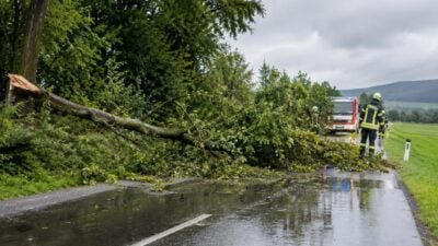 Schwerer Ast blockiert Straße von Fürth nach Margarethen