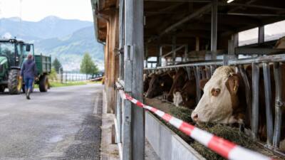 Tbc-Nachweis: Hof im Bezirk Bregenz bleibt gesperrt