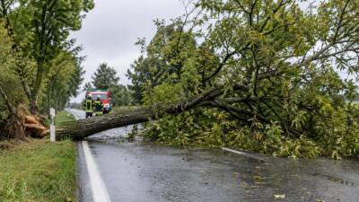 Umgestürzter Baum ragte über B5-Fahrspur bei Eisenreichs