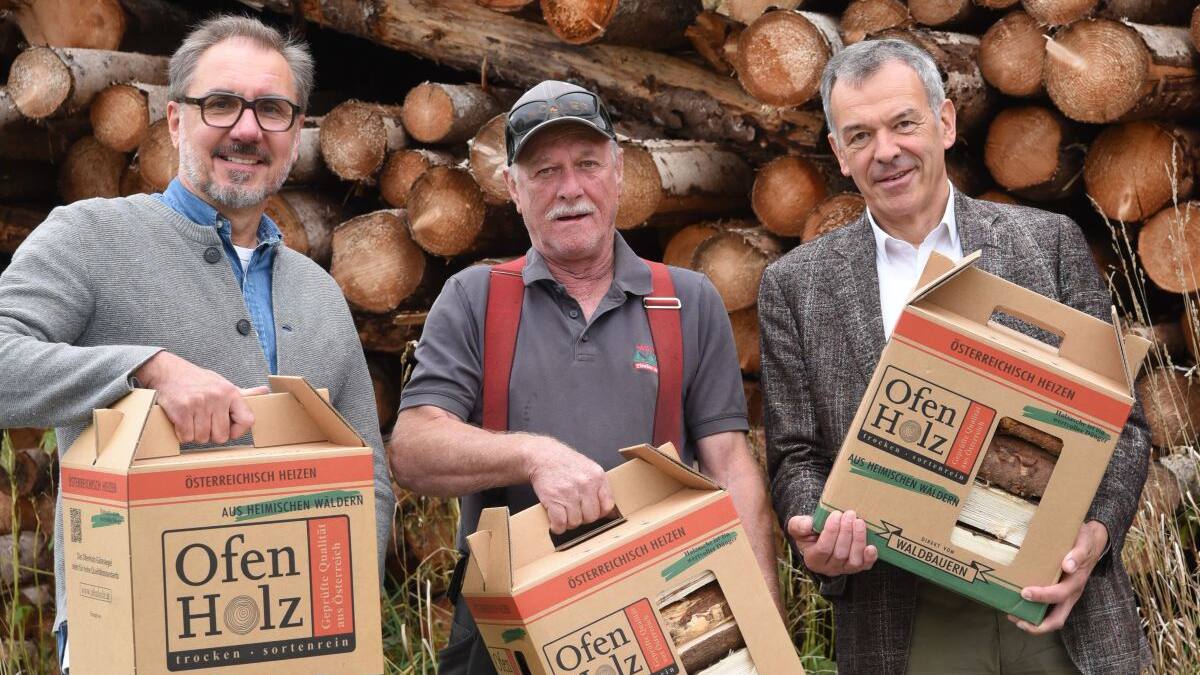 Brennholzförderung in Innsbruck startet am 1. Oktober