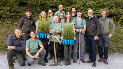 Freiwillige setzen 2.000 Jungbäume im Schutzwald über Innsbruck