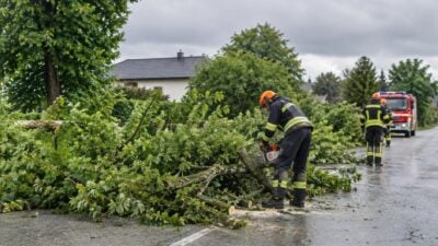 Unwetter in Schiedlberg: Feuerwehr räumt Bäume von Straßen