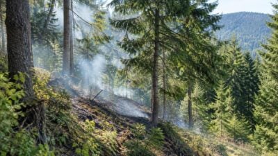 Waldbrand bei Ochsen Angerle rasch unter Kontrolle