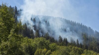 Waldbrand in Laas unter Kontrolle gebracht