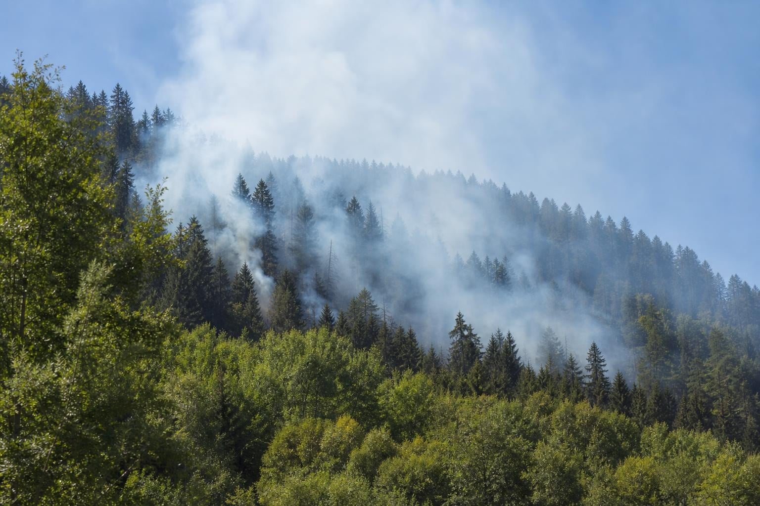 Waldbrand in Laas unter Kontrolle gebracht