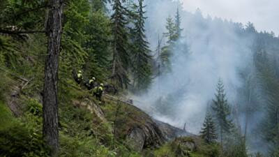 Waldbrand in Zellenbach vollständig gelöscht