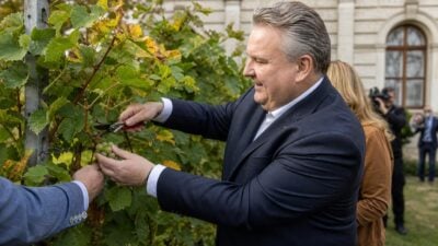 Weinlese am Schwarzenbergplatz mit Bürgermeister Ludwig