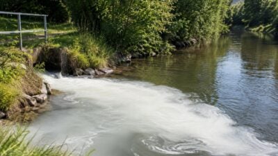 Weiße Flüssigkeit fließt in Zwettl in den Kamp