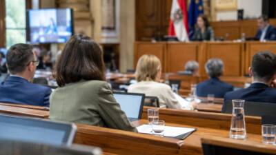 Wiener Gemeinderat debattiert Machtmissbrauchsvorwürfe im Marktamt