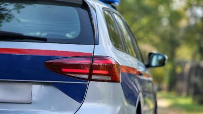 24-Jähriger nach Anzeige im Unterpinzgau festgenommen