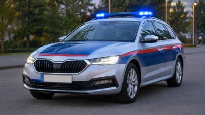 35-Jähriger leistet Widerstand und schlägt Polizisten in Wien