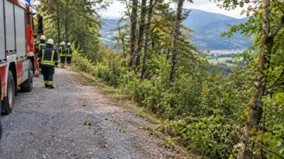 Feuerwehrleute stehen neben einem Einsatzfahrzeug auf einem bewaldeten Forstweg.
