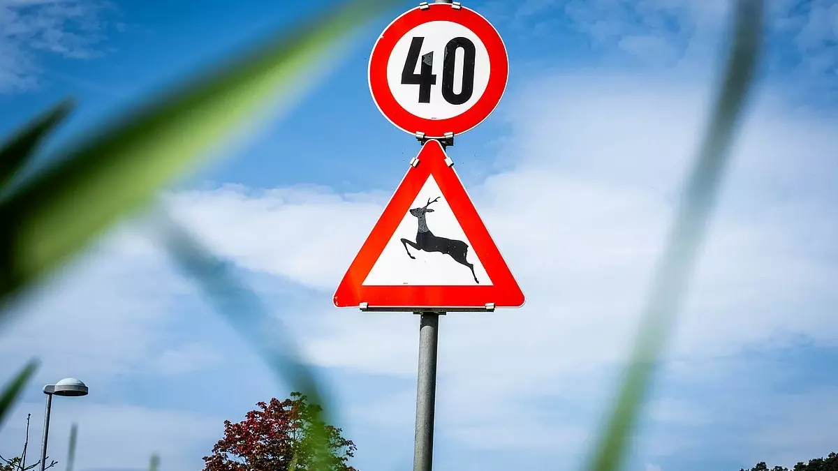 Wildwechsel erhöht im Herbst die Unfallgefahr auf Tirols Straßen