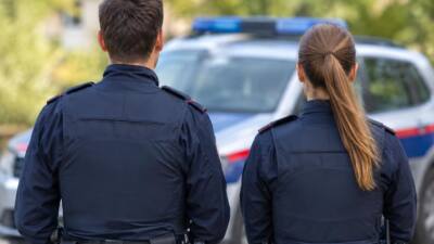 Feldfrüchte beschädigen Autos in Gänserndorf und Mistelbach
