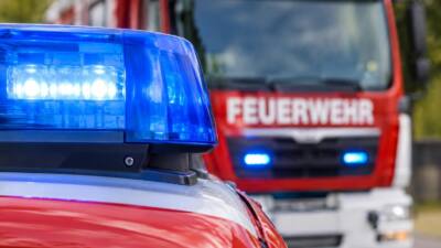 Feuerwehr bringt Kalbin in St. Georgen/Klaus aus Schwemmgrube
