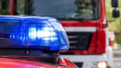 Feuerwehr Mödling rettet gestürzte Person aus dem Mödlingbach